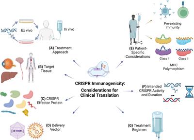 Immunogenicity of CRISPR therapeutics—Critical considerations for clinical translation